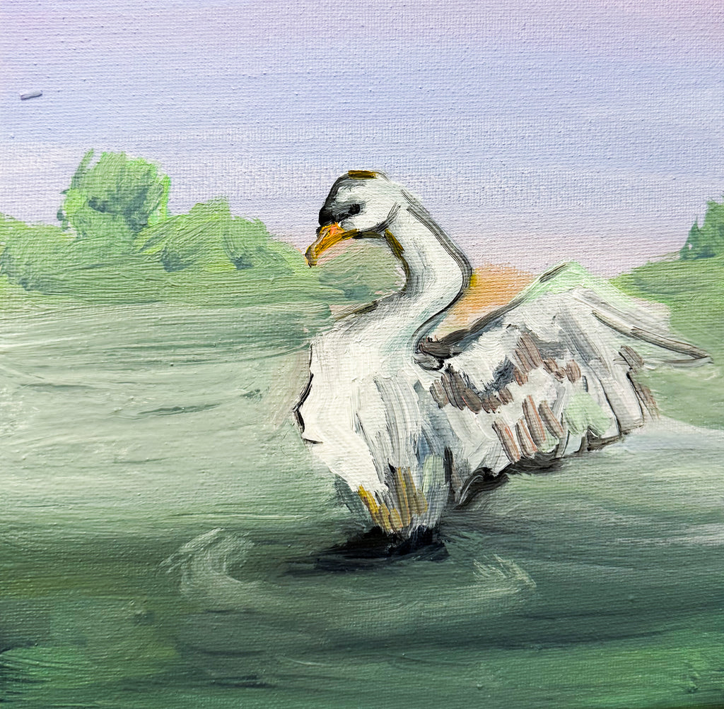 “In the Water” | Original Swan Wings Outspread Oil Painting | Impressionist Lake Bird Canvas Art | Pastel Nature Wall Decor