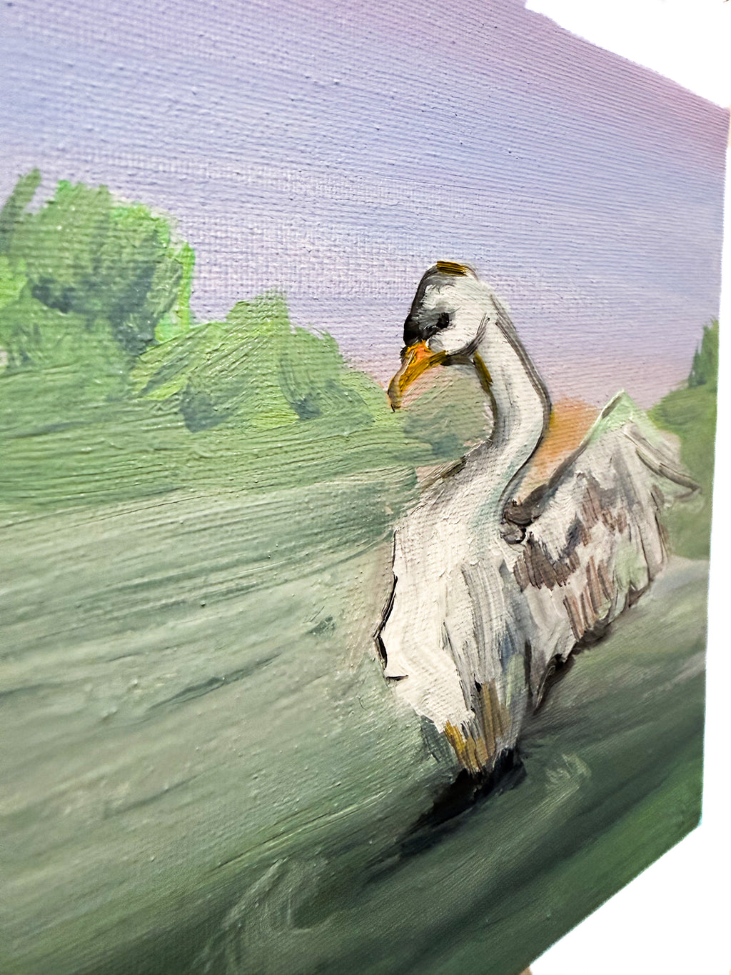 “In the Water” | Original Swan Wings Outspread Oil Painting | Impressionist Lake Bird Canvas Art | Pastel Nature Wall Decor